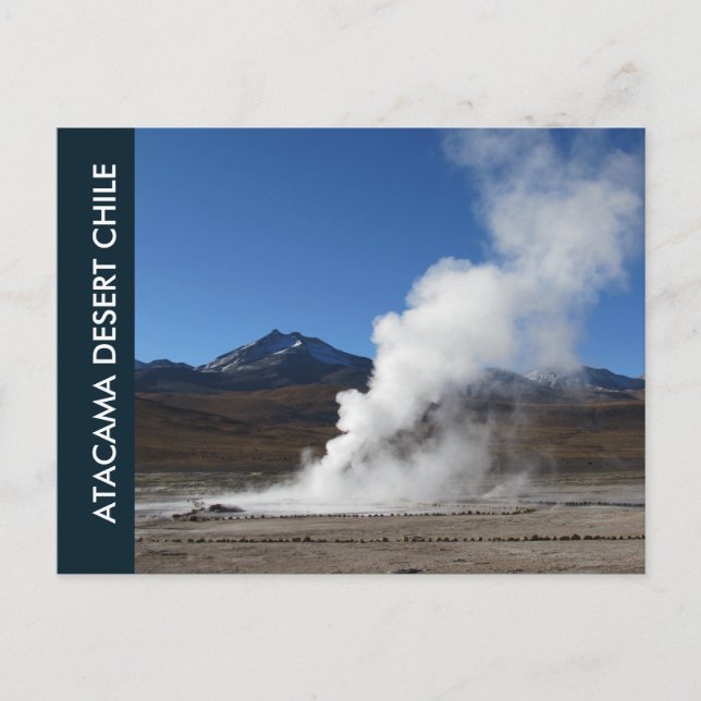 El Tatio Geyser, Désert d'Atacama, Carte postale C (Devant)