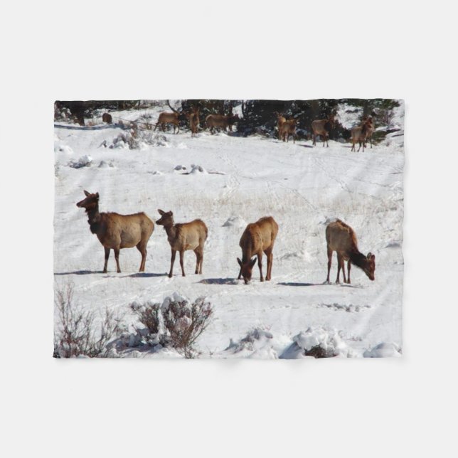 Élan dans couverture en laine polaire (Devant (Horizontal))