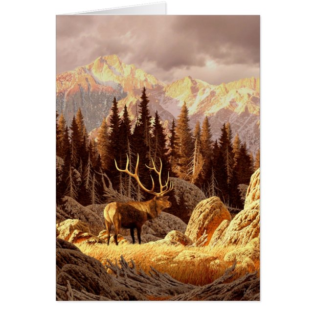 Élans Taureau (Devant)