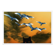 Élargissement de la photo