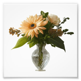 Élargissement de la photo