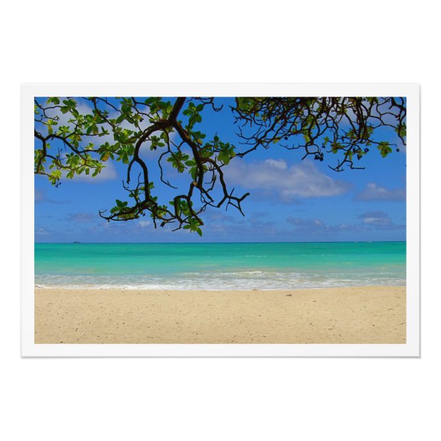 Élargissement de la photo (Devant)