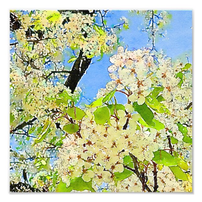 Élargissement de la photo d'aquarelle de l'arbre à (Devant)