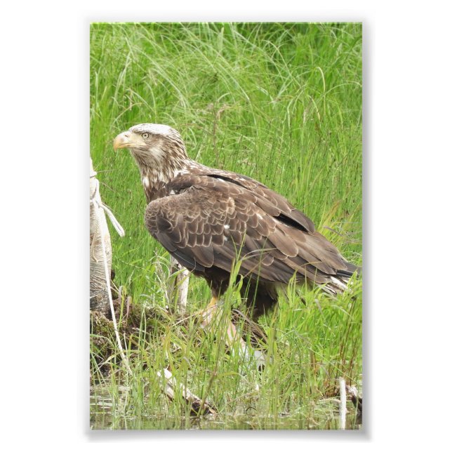 Élargissement de la photo papier photo Premium Sat (Devant)