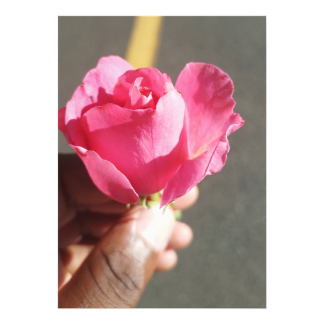 Élargissement de la photo rose (Devant)