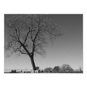 Élargissement de photo soufflé par vent