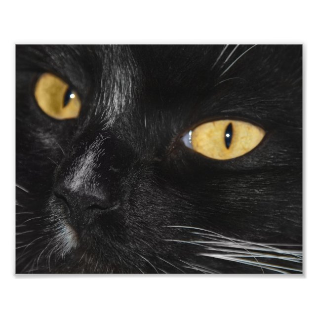 Élargissement noir de la photo (Devant)