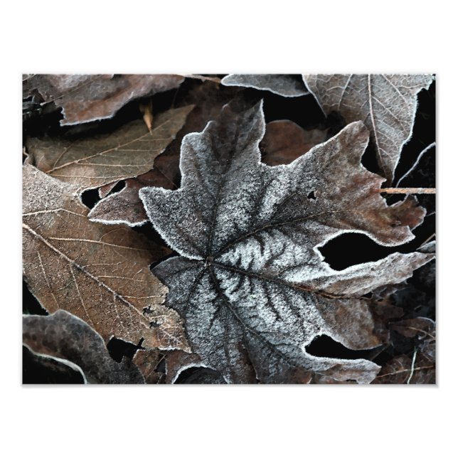 Élargissement photo personnalisé de 16 po x 12 po (Devant)