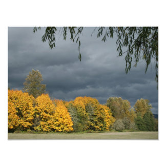 Élargissement photo personnalisé de 16 po x 12 po