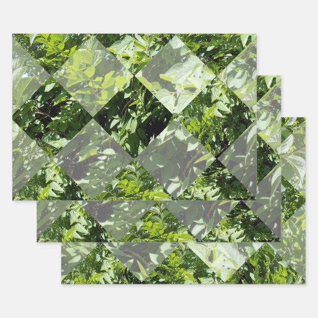 Élégance d'émeraude : Feuilles verts en coupe diam (Lot)