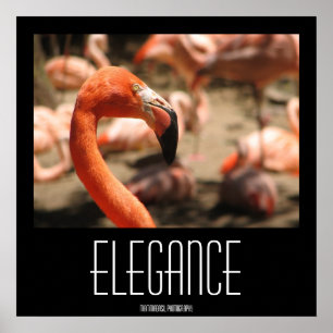 Elegance Poster !