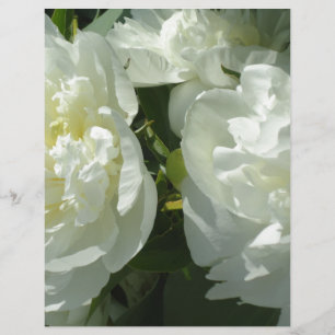 Elégant blanc peony floral blanc photo