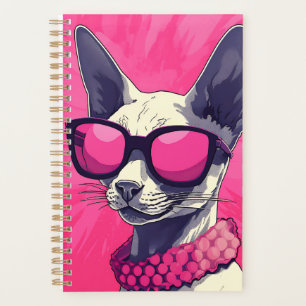 Élégant Cornish Rex Chat rose