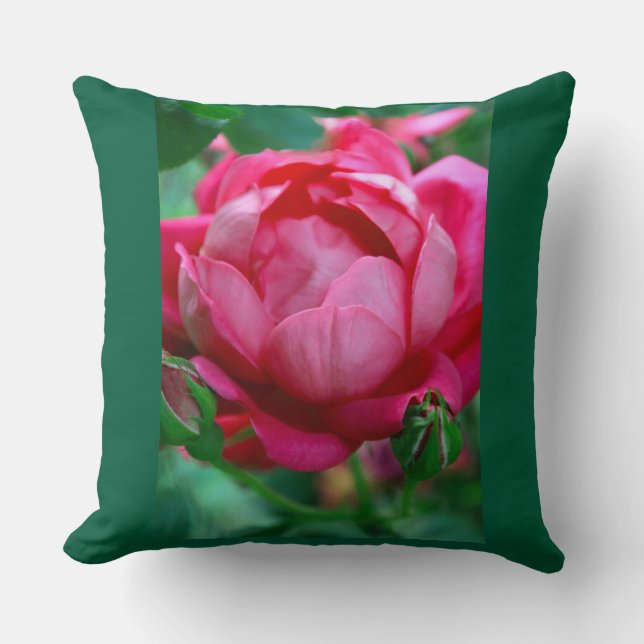 Élégant Coussin de Jet en Rose Florale Rose Clair  (Recto)