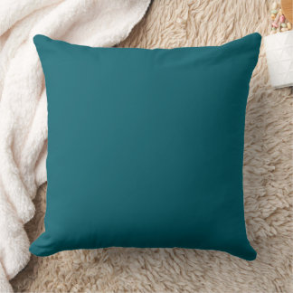 élégant coussin décoratif sarcelle