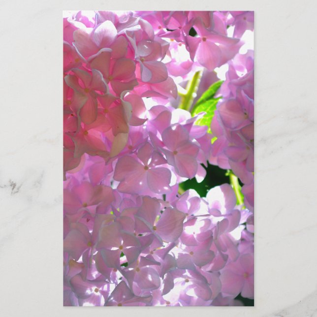 Elégant flores rose douce hydrangée rose rose (Devant)