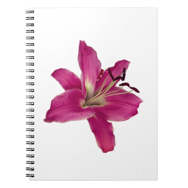 Elégant Lily rose - Floral Carnet esthétique (Devant)