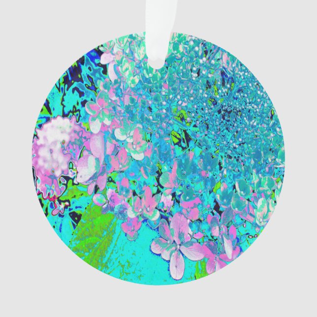 Élégant Limelight rose et bleu Hydrangea (devant)