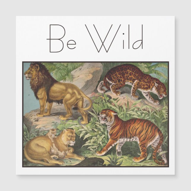 Élégant Lions de Chat, Léopards Vintages (Devant)