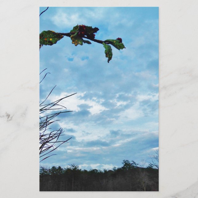 Élégant Noël Holly, ciel bleu (Devant)