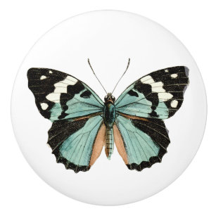 Elégant Papillon Turquoise Bouton en céramique bla