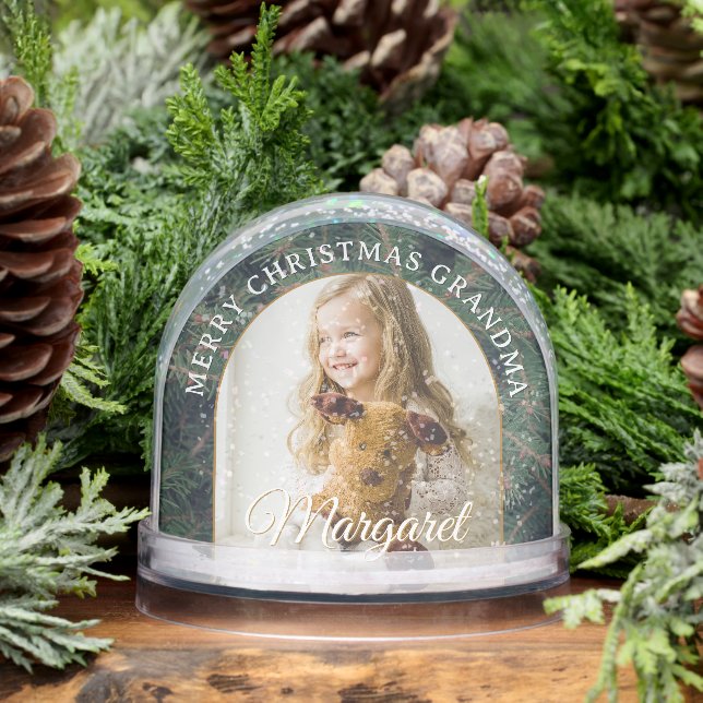 Elegant Pine Border Photo Snow Globe (Hiver)