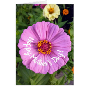 Elégant Pink Zinnia Flower carte de la fête des mè