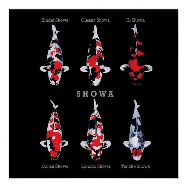 Elégant Poster de Poisson Koi - Déco Artistique et (Devant)