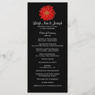 Élégant programme de mariage Red Gerber Daisy—Rack