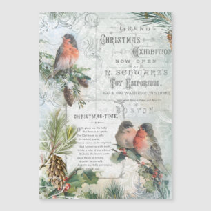Élégant Robins de Noël Vintages d'hiver