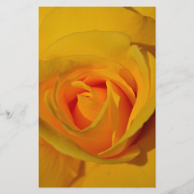 élégant romantique Rose jaune fermer (Devant)