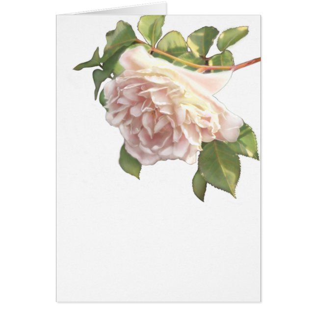 Elégant rose à fleurs blanc peachy orange foncé (Devant)