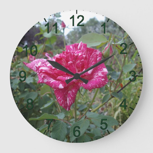 Élégant Rose À Rayures Roses Et Blanches, Horloge  (Recto)