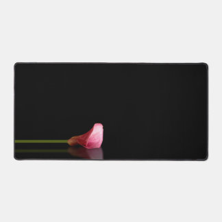 Elégant rose Calla Lily Reflection Photo