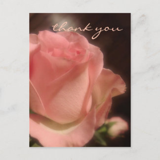 Elégant Rose de pêche - Carte postale Merci