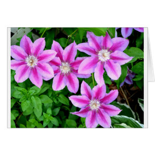 Élégant rose floral vert botanique