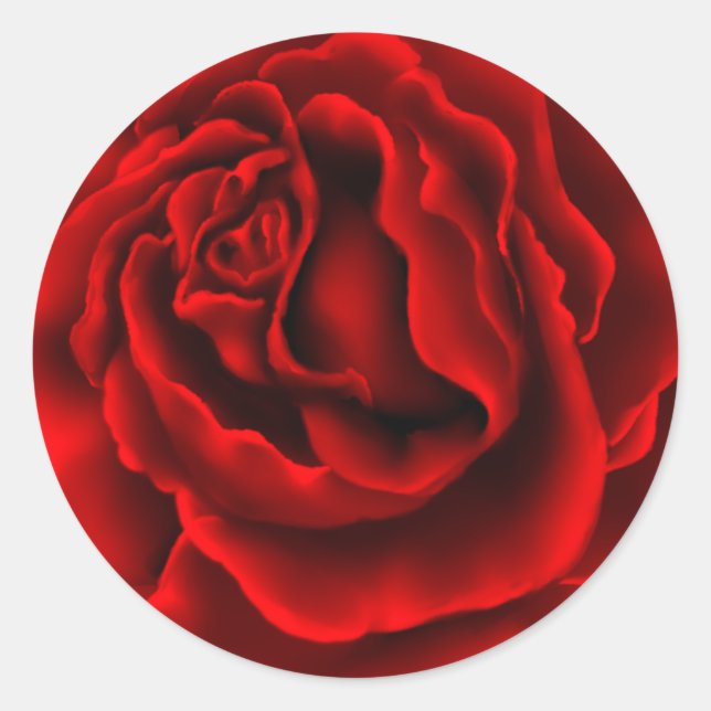 Élégant Sticker Rose Rouge (Devant)