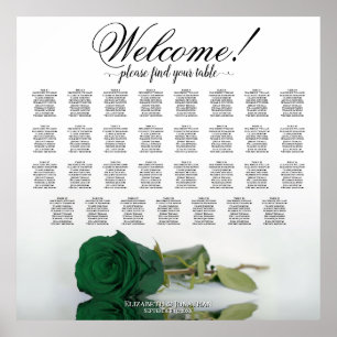 Élégant tableau 31 Rose vert émeraude