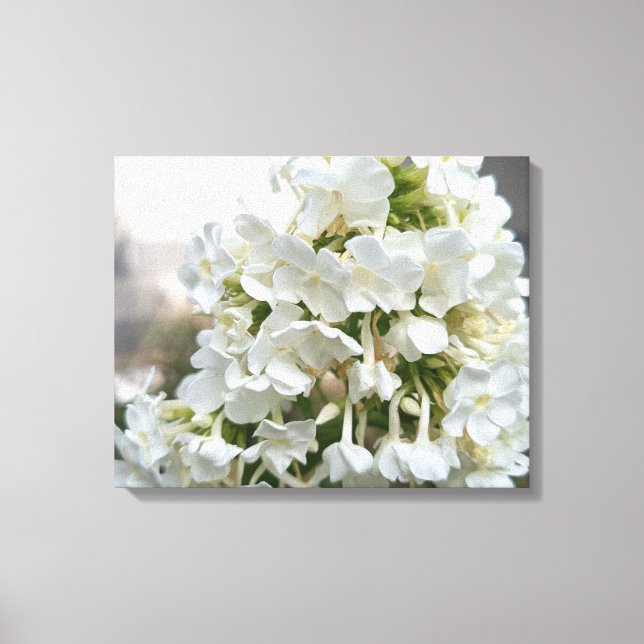 Élégant tableau sur toile de fleurs d'hortensia bl (Recto)