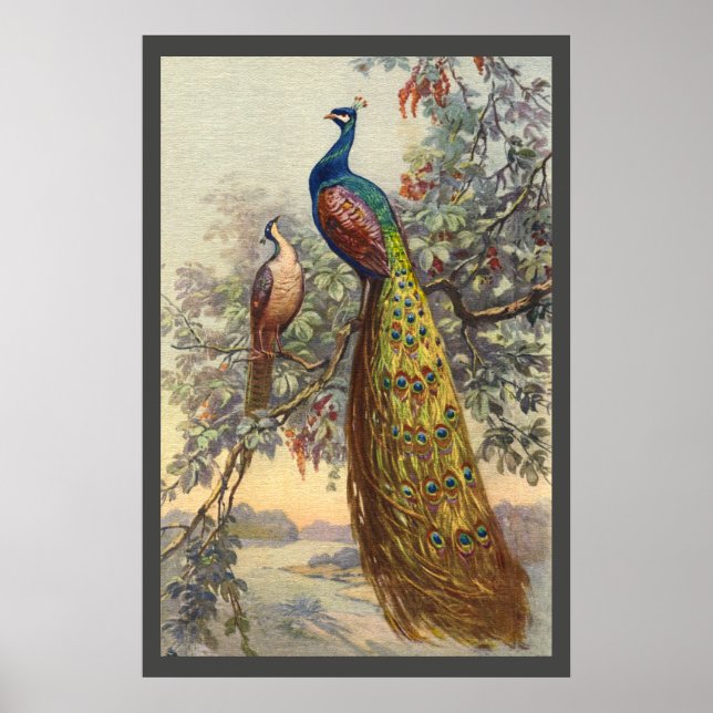 Elegant vintage peacock tree poster (Devant)