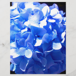 ElégantCobalt bleu floral élégant hydrangeas