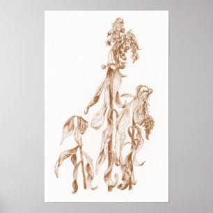 Élégante affiche murale d'art à l'encre botanique