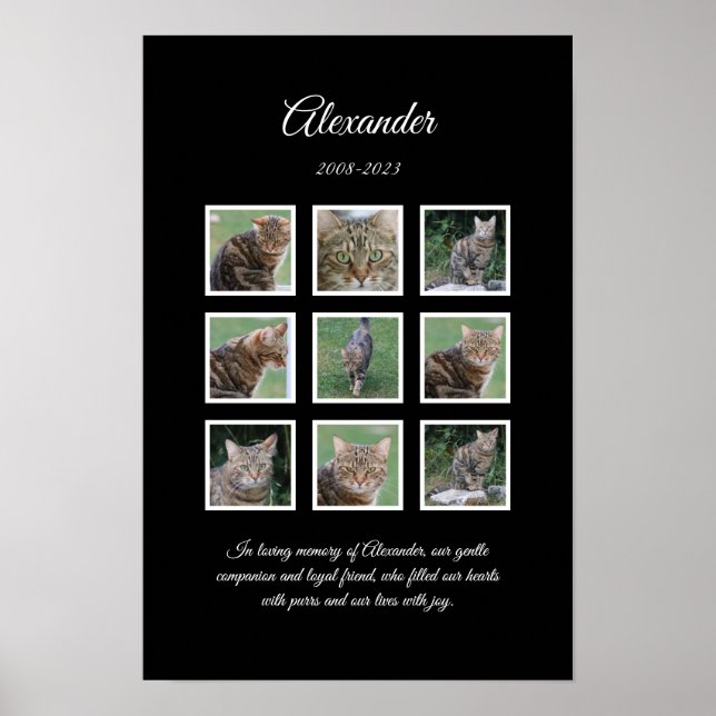 Élégante affiche pour animal de compagnie noir ave (Devant)