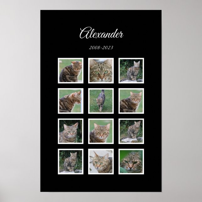 Élégante affiche pour animaux de compagnie noirs a (Devant)