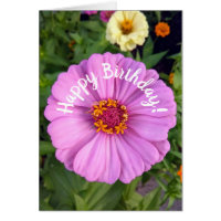 Elégante carte d'anniversaire rose Zinnia