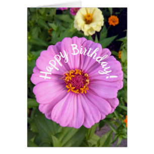 Elégante carte d'anniversaire rose Zinnia