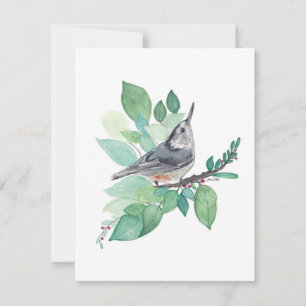 Elégante carte Nuthatch Watercolor Note