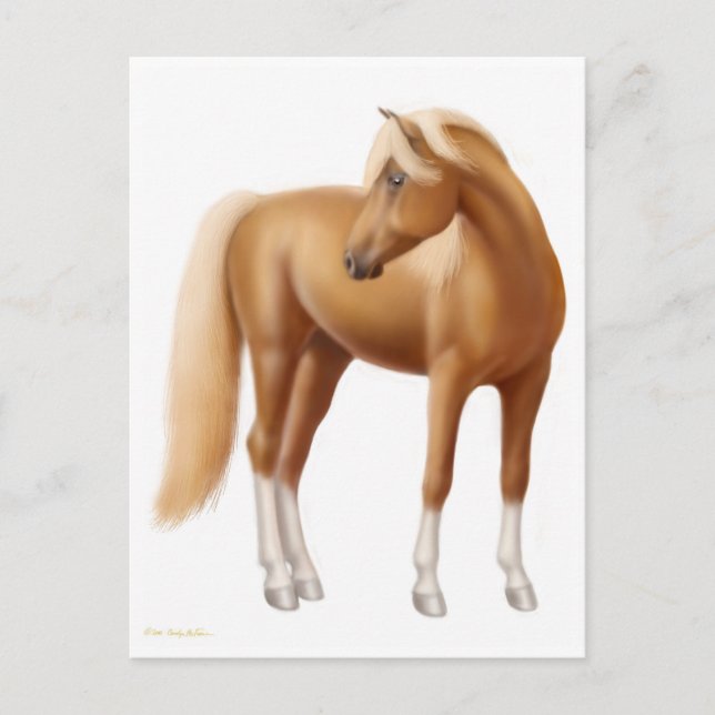 Elégante carte postale Sorrel Horse (Devant)