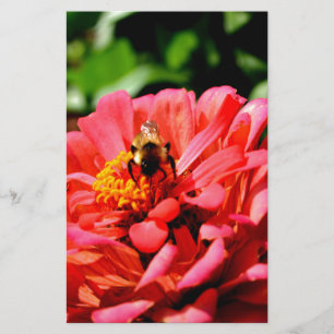Elégante corail rouge floral mignonne bourdon bee