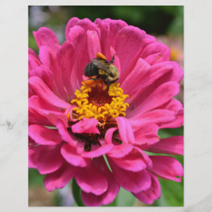 Elégante fleur rose fleur maman fleur marguerite a